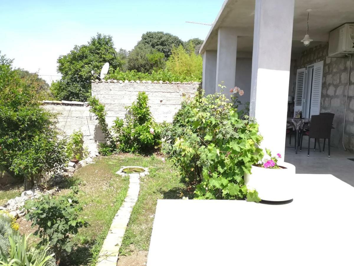 Nikola Apartment *